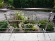 Bild 261.jpg